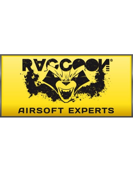 Engranajes Raccoon 16:1 - Rg003